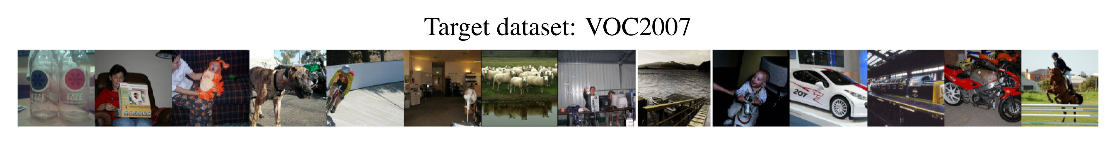 VOC target dataset.