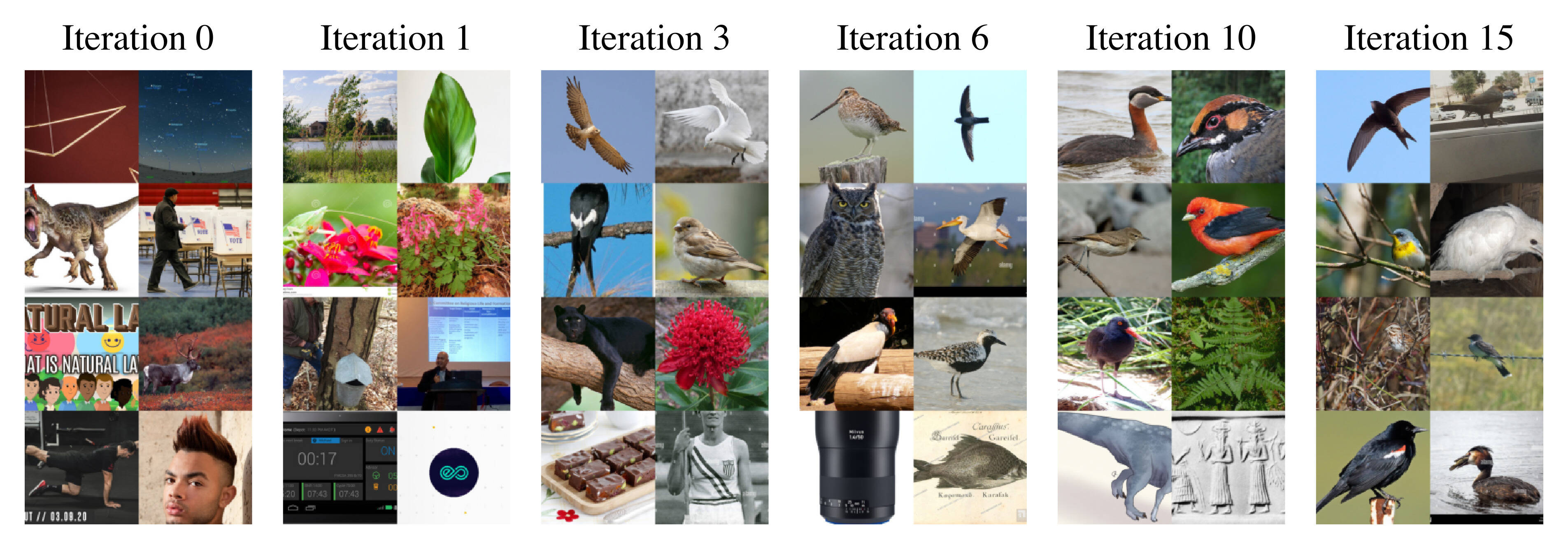 Birdsnap progression over iterations.