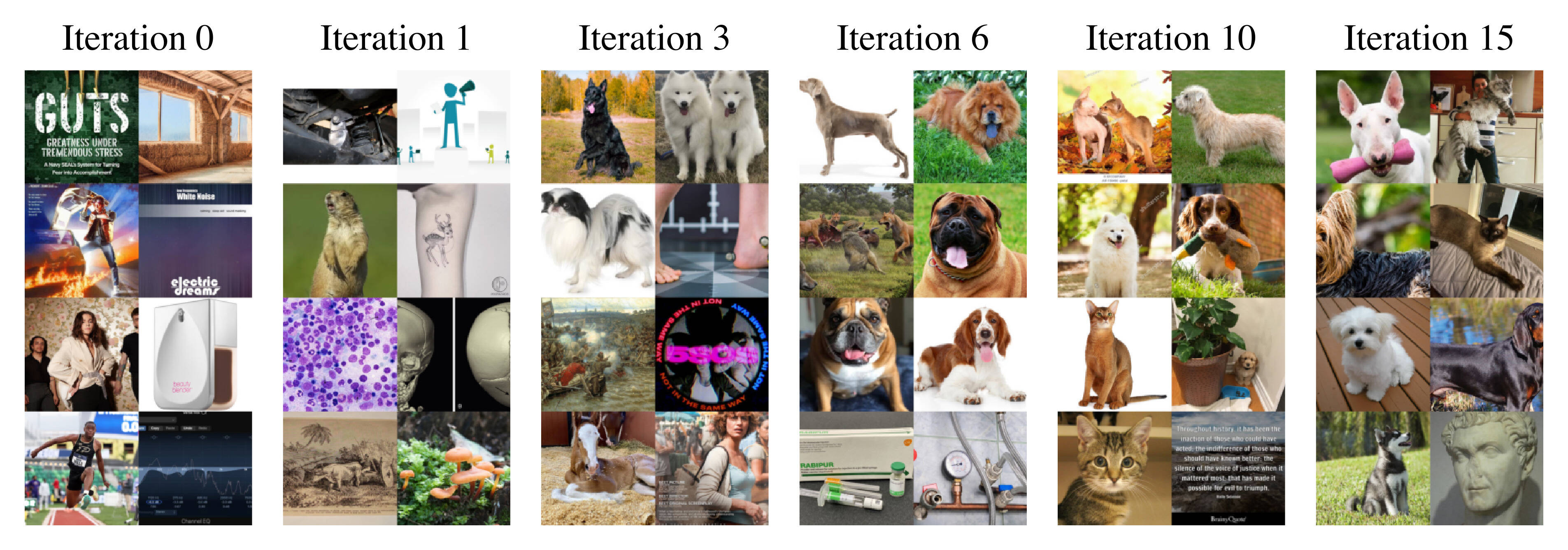 Pets progression over iterations.