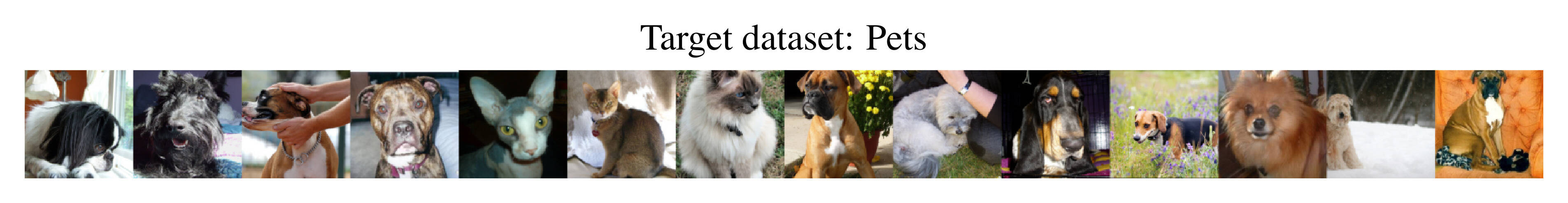Pets target dataset.